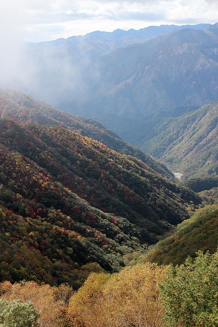 Japonia, Natura, Peisaj, Flori, Sezonier