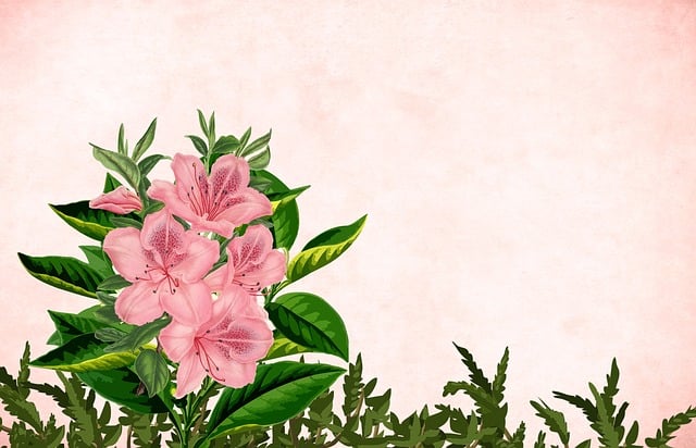 Free flower floral pink illustration