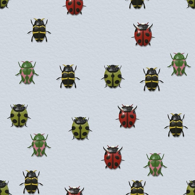 Download free HD stock image of Beetle Insect Free beetle insect nature illustration