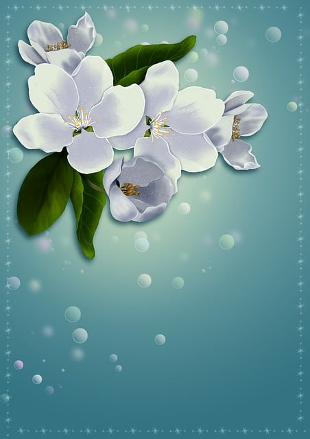 Free spring apple flowers illustration