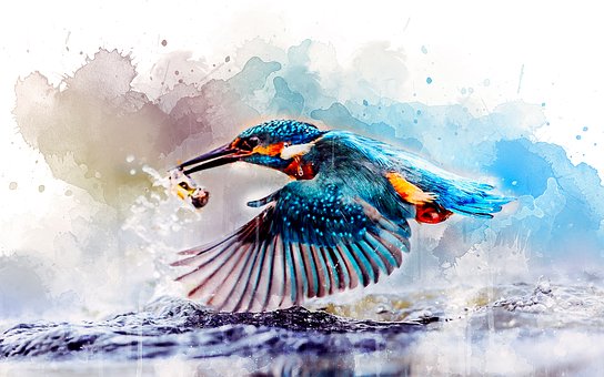 Free Watercolor Kingfisher illustration and picture