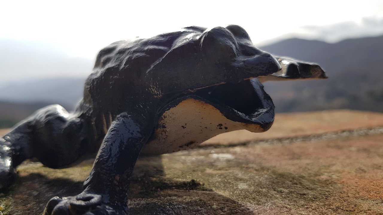 VVGIFTS Lustige Froschfigur Aus Harz – Sitzt Auf Toilette – Dekoration Für Schreibtisch, Bad & Garten – Originelles Geschenk