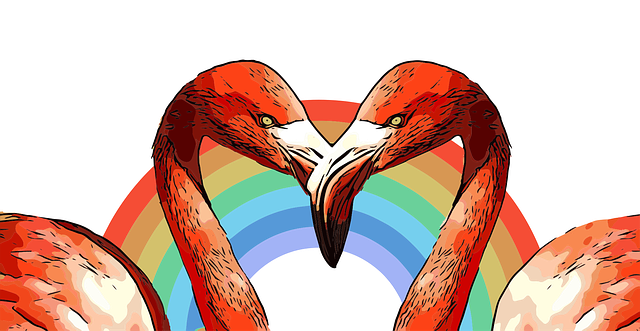 Flamingo, Regenbogen, Liebe, Bunte
