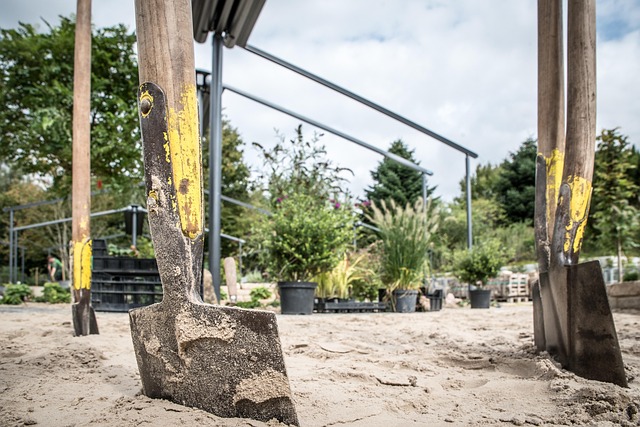 Free Horticulture Garden - And Landscaping photo and picture