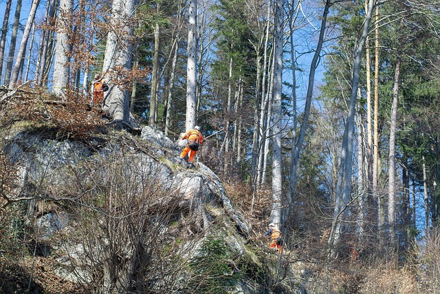 Free Rock Removal Work Workers photo and picture