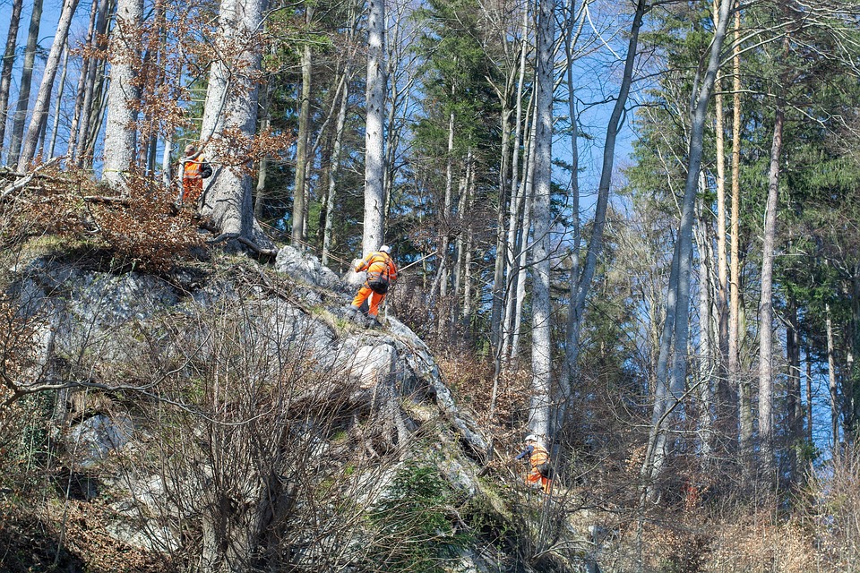 Rock Removal Work Workers Outdoors Free Photo On Pixabay Pixabay