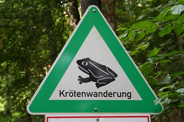 Free Natural Reserve Toad Hike photo and picture