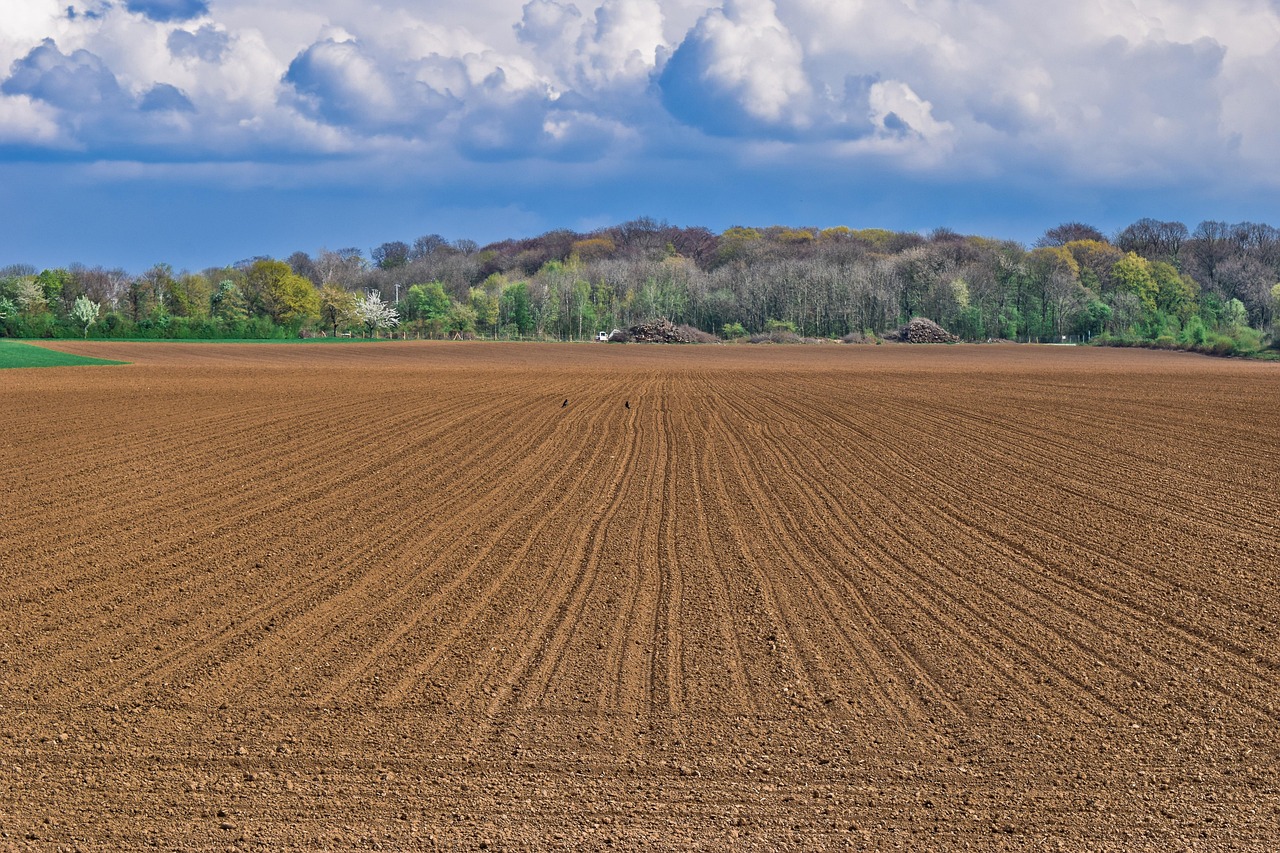 Simple Field Landscape Landscape Field Heaven - Free photo on Pixabay - Pixabay