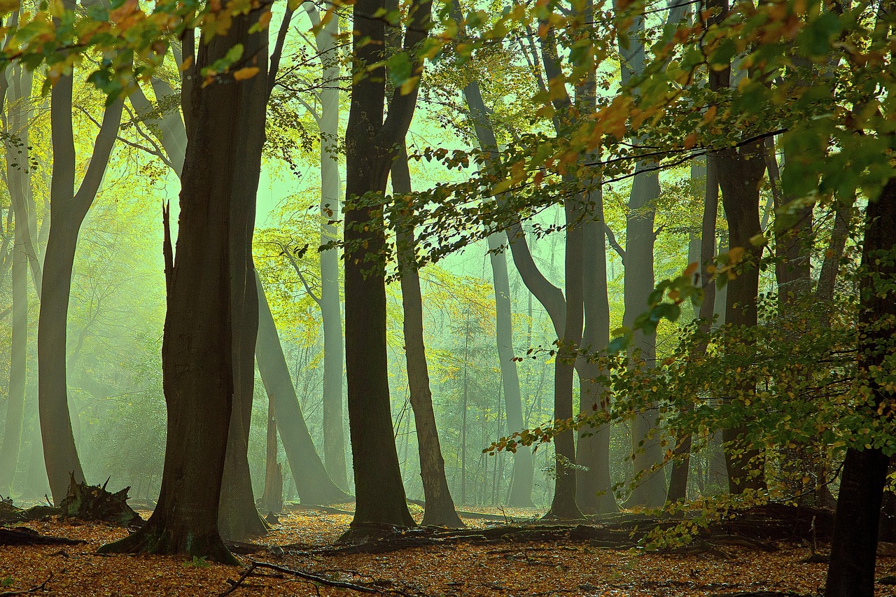 Lochem - free online jigsaw puzzle photo