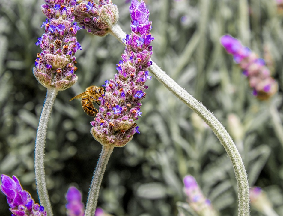 Glox Therapeutics Secures Funding to Develop Antibiotics for Cystic Fibrosis - News Directory 3