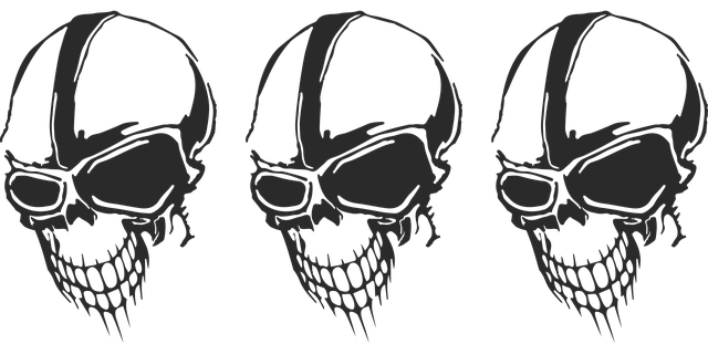 Free Skull Skeleton vector and picture