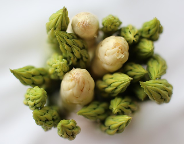 Free Asparagus Tips Meal photo and picture