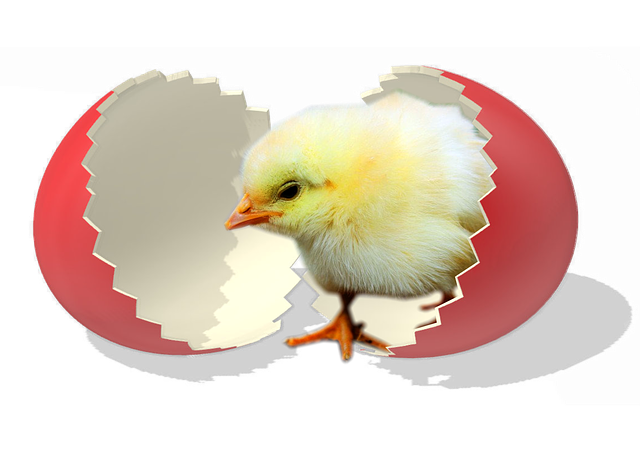 Free easter easter egg red illustration