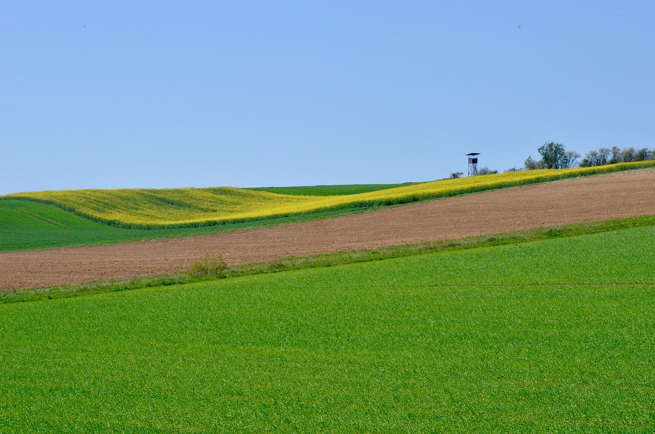 Spring Fields Agriculture - Free photo on Pixabay