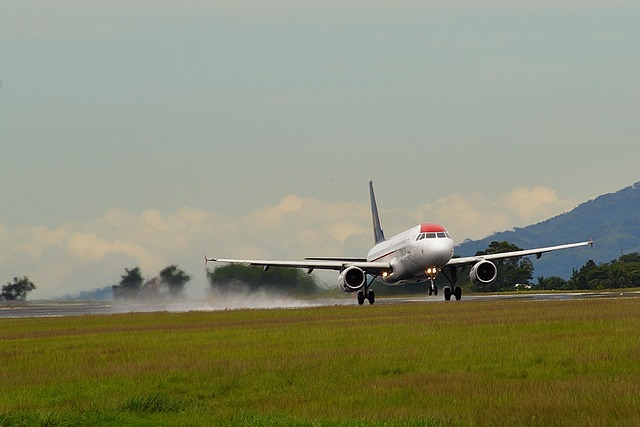 Fly, Transport, Flyvning, Lufthavn, Skat