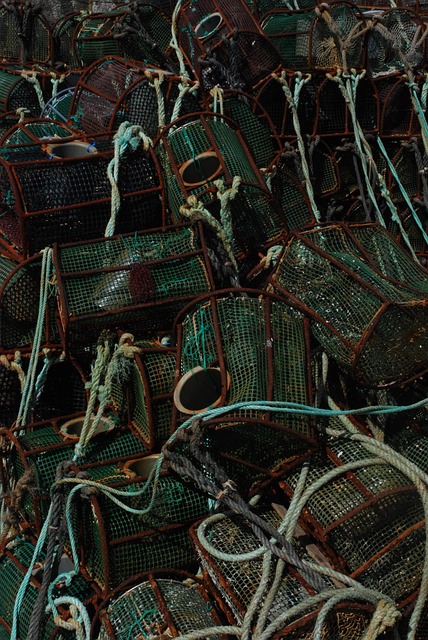 Free Port Networks photo and picture