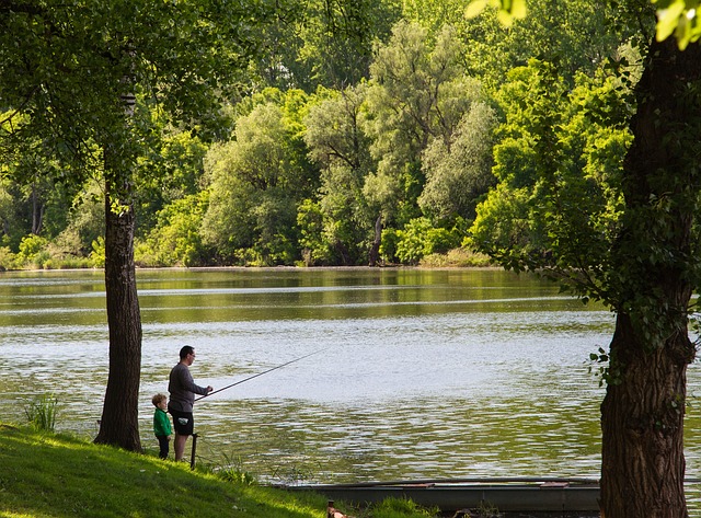 Waterfront, Tisza, Paisaje, Naturaleza
