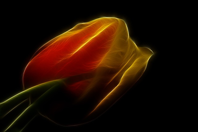 Free fractal flower blossom illustration