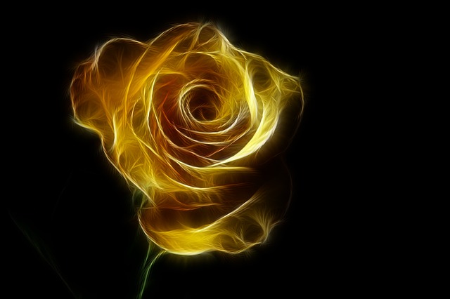 Download free HD stock image of Fractal Rose Free fractal rose flower illustration