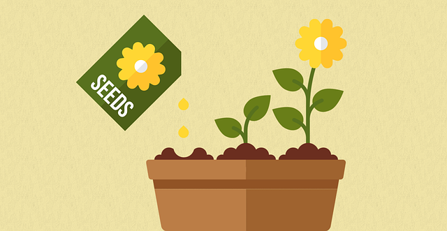 Free seeds flower pot illustration