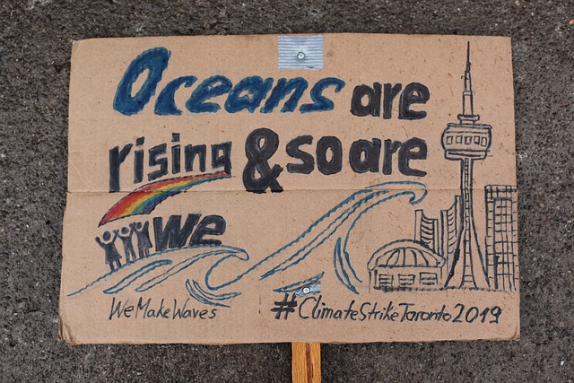 Protest, Schild, Hinweistafel
