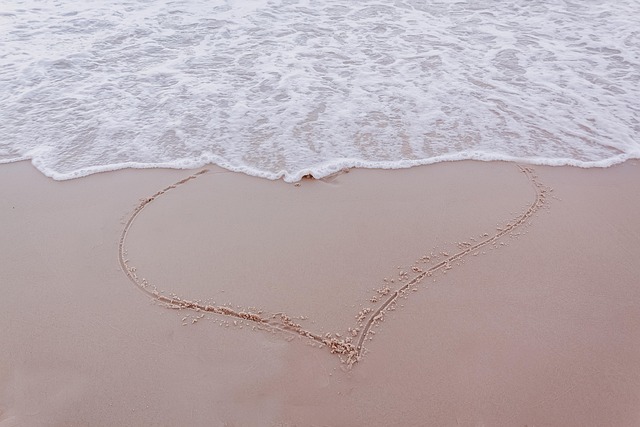 Free Heart Love photo and picture