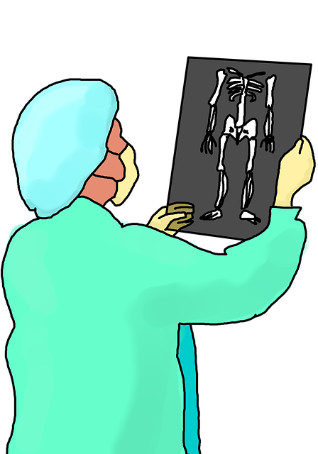 Free x-ray xray radiology illustration