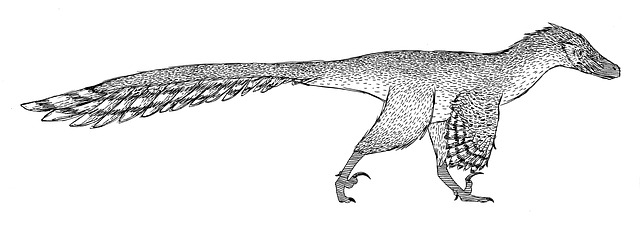 Free velociraptor dromeaosaur dinosaur illustration