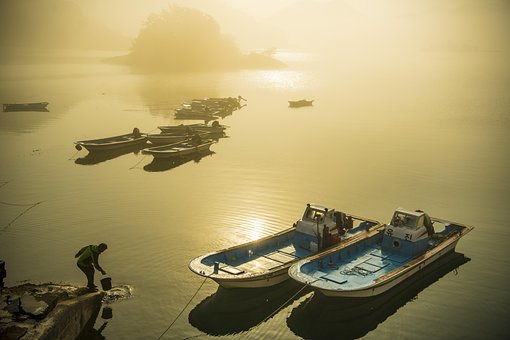 Free Morning Nature photo and picture