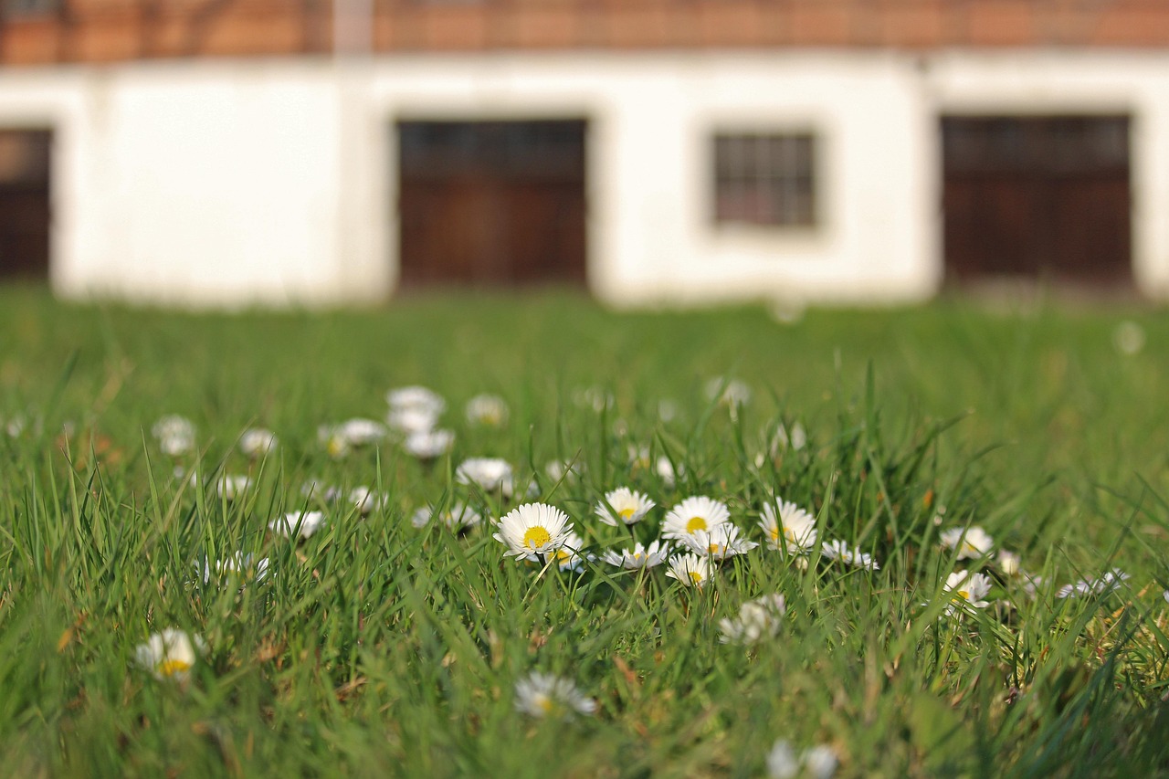 Spring Meadows House Spring Meadow Half-Timbered House - Free photo on Pixabay - Pixabay