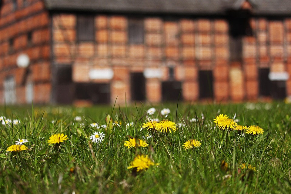 Spring Meadows House Spring Meadow Half-Timbered House - Free photo on Pixabay - Pixabay
