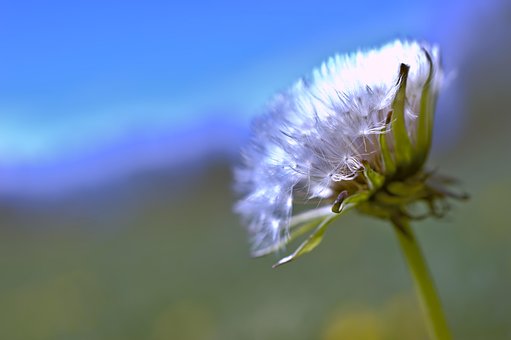 카드론 빚 개인파산 면책 선고 상담 변호사3