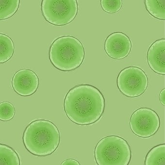 Free Kiwi Pattern illustration and picture