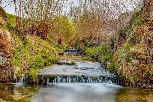 Free Stream Bed Running Water photo and picture