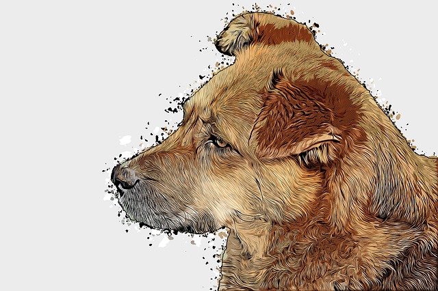 Free dog portrait pet illustration