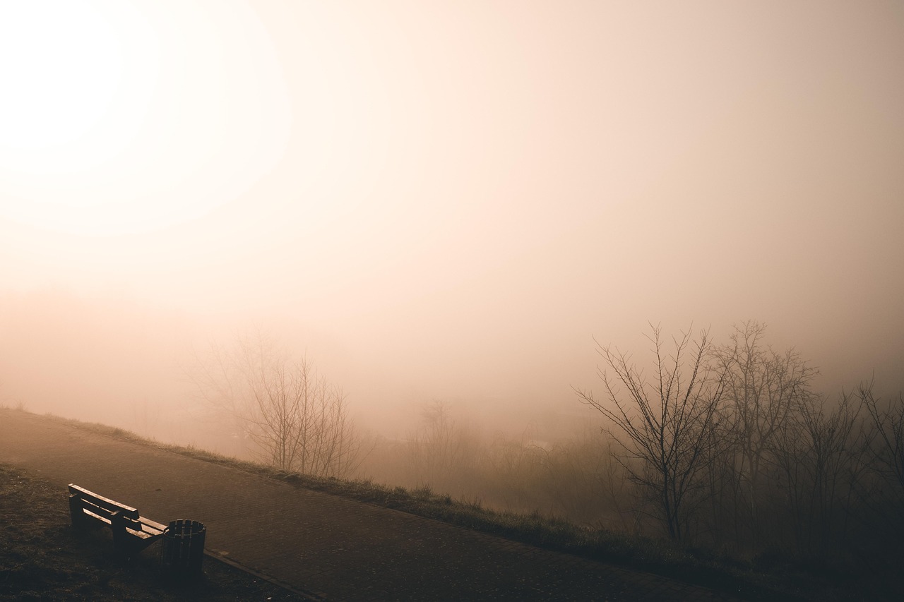 多雾路段 景观 太阳 - Pixabay上的免费照片 - Pixabay