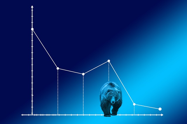 Free Bear Market Baisse illustration and picture