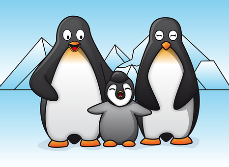 Pingviner, Familie, Dyr, Fugler, Søt
