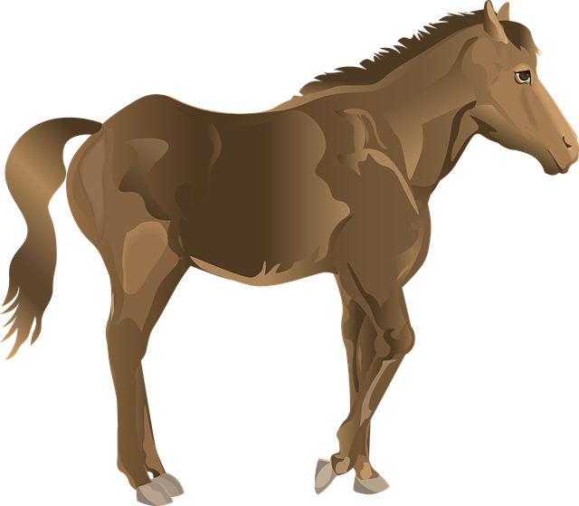 Free stallion horse bay vector