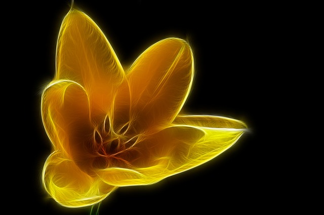 Free fractal tulip yellow illustration