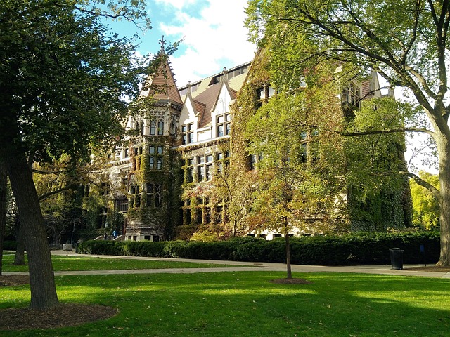 Free University Of Chicago University photo and picture