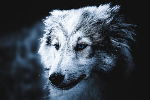 Free Wallpaper Hd Wallpaper photo and picture