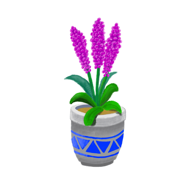Flower Pot, Keramiske Bøtte, Houseplant