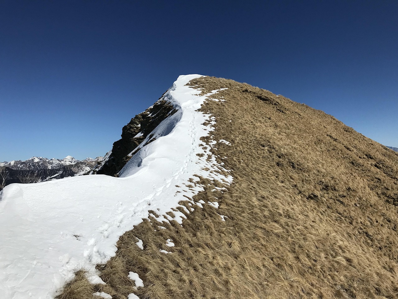 Pacific Valley Top