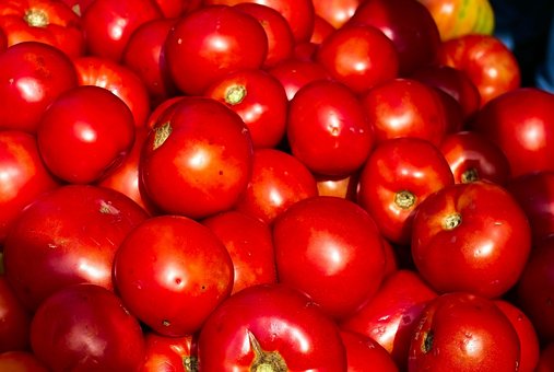 Free Tomatoes Red photo and picture