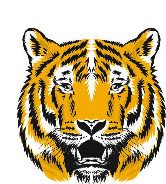 Tigre, Jardim Zoológico, Natureza, Gato