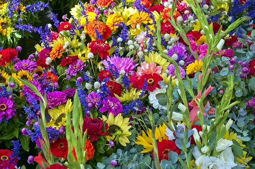 Free Madison Farm Market Flowers Sunflowers photo and picture