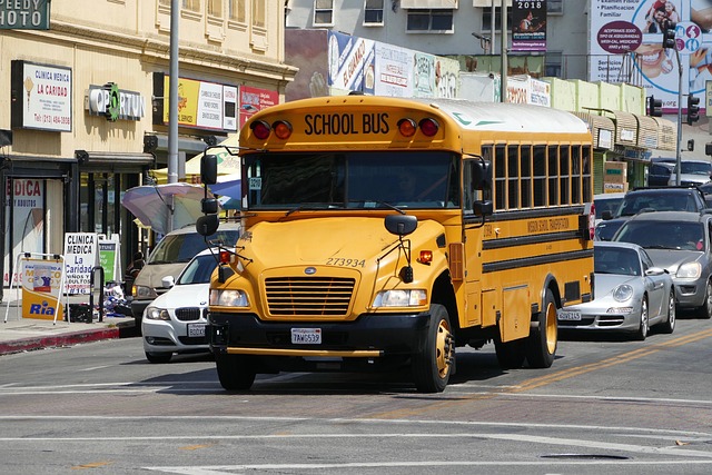 Skolebus, Gade, Usa