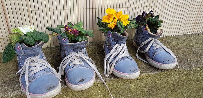 Free Shoes Plants photo and picture
