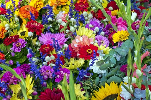 Free Dane County Market Flowers Sunflowers photo and picture
